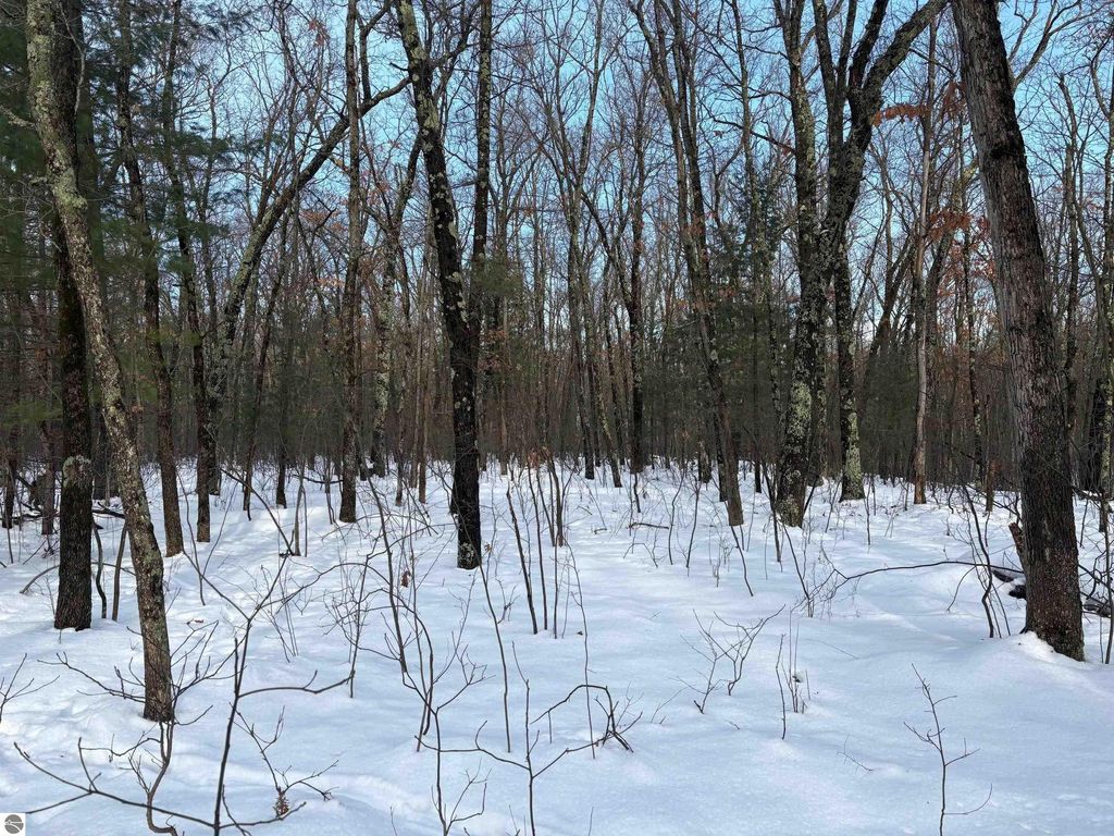 Image 38 of property listing at 19248 Caberfae Highway, Wellston, MI 49689