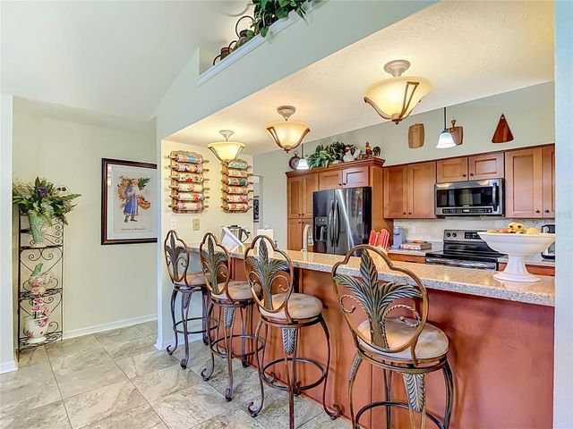 4306 RIVER BIRCH DRIVE, Spring Hill, FL 34607