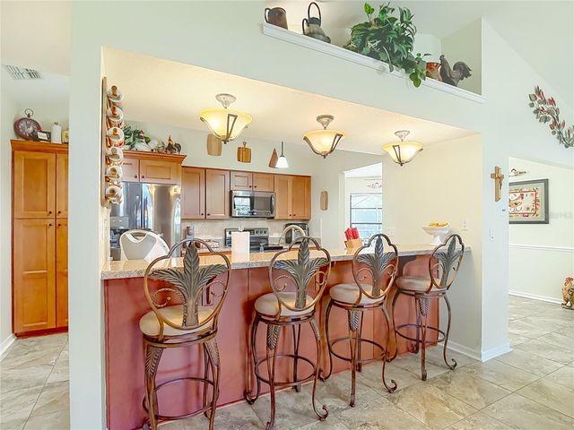 4306 RIVER BIRCH DRIVE, Spring Hill, FL 34607
