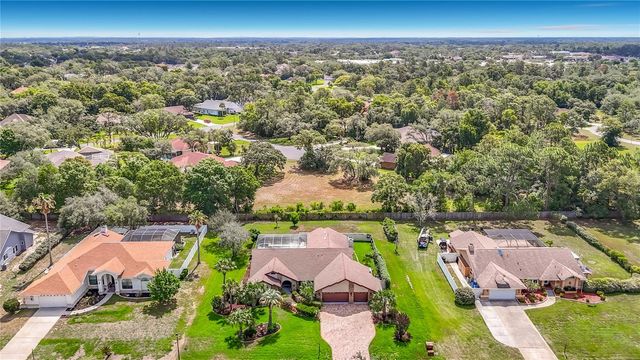 4306 RIVER BIRCH DRIVE, Spring Hill, FL 34607