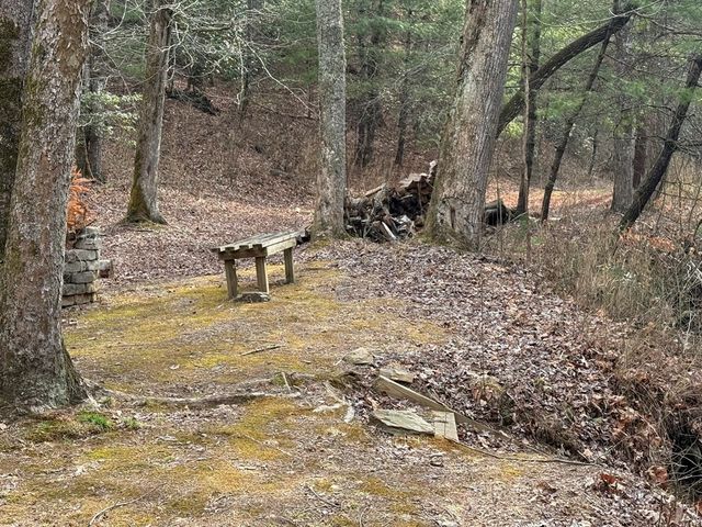 Lot 56 Fires Creek Cove Road, Hayesville, NC 28904