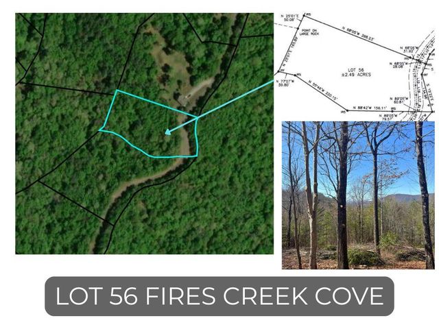 Lot 56 Fires Creek Cove Road, Hayesville, NC 28904