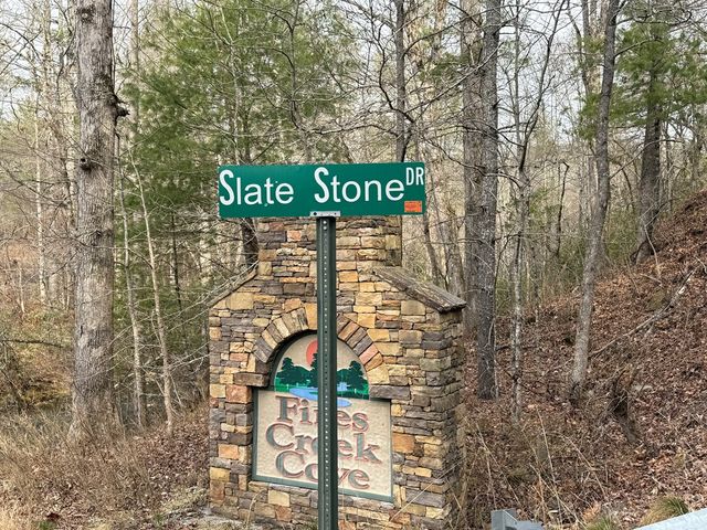 Lot 56 Fires Creek Cove Road, Hayesville, NC 28904