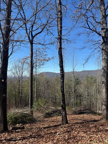 Lot 56 Fires Creek Cove Road, Hayesville, NC 28904