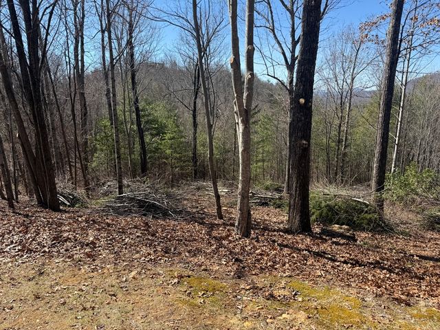 Lot 56 Fires Creek Cove Road, Hayesville, NC 28904