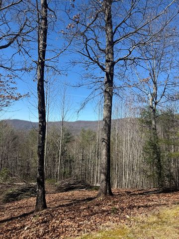 Lot 56 Fires Creek Cove Road, Hayesville, NC 28904