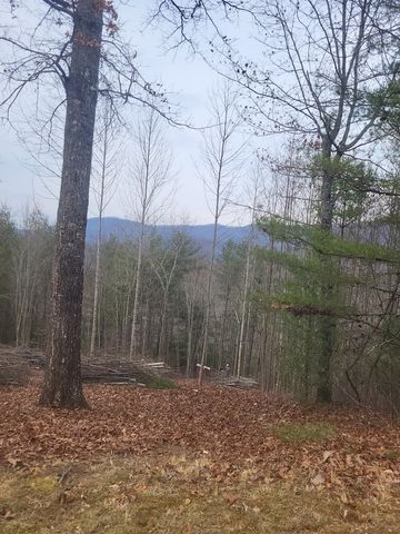 Lot 56 Fires Creek Cove Road, Hayesville, NC 28904