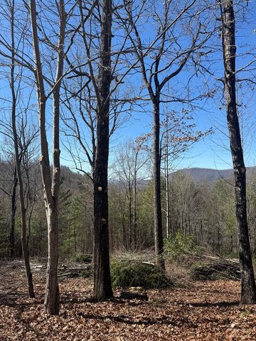 Lot 56 Fires Creek Cove Road, Hayesville, NC 28904