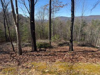 Lot 56 Fires Creek Cove Road, Hayesville, NC 28904