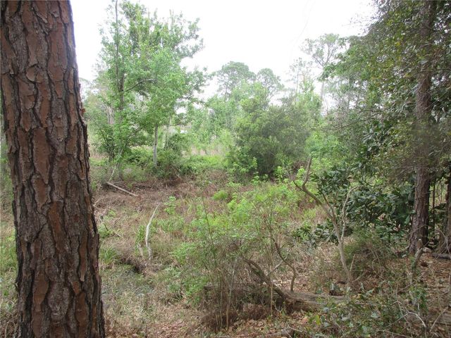 5790 SE 183RD TERRACE, Ocklawaha, FL 32179