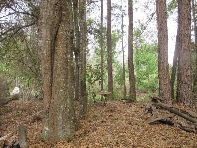 5790 SE 183RD TERRACE, Ocklawaha, FL 32179