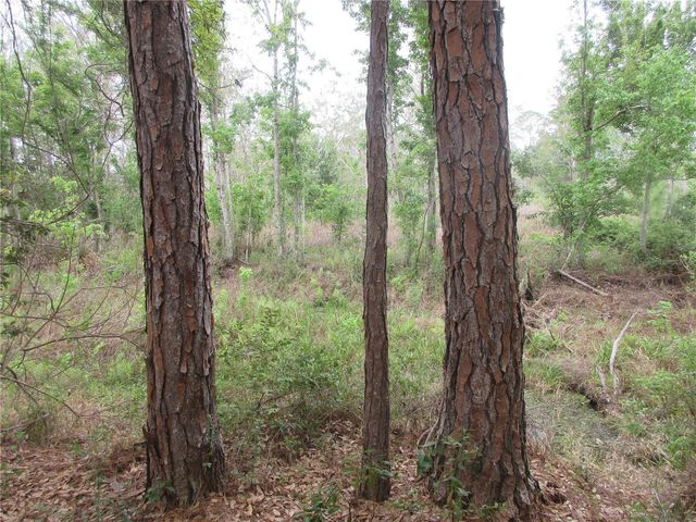 5790 SE 183RD TERRACE, Ocklawaha, FL 32179