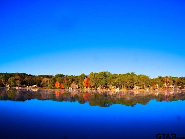 1428 Lakeshore Dr, Hideaway, TX 75771