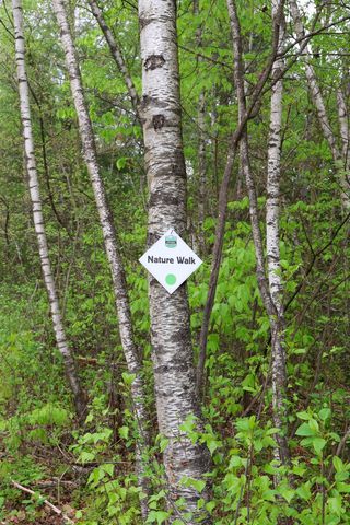 287 Mascoma St Unit 305, Lebanon, NH 03766
