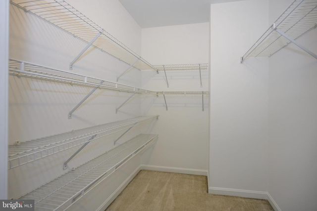 7013 BRIDGEPOINTE DR, Chester, MD 21619