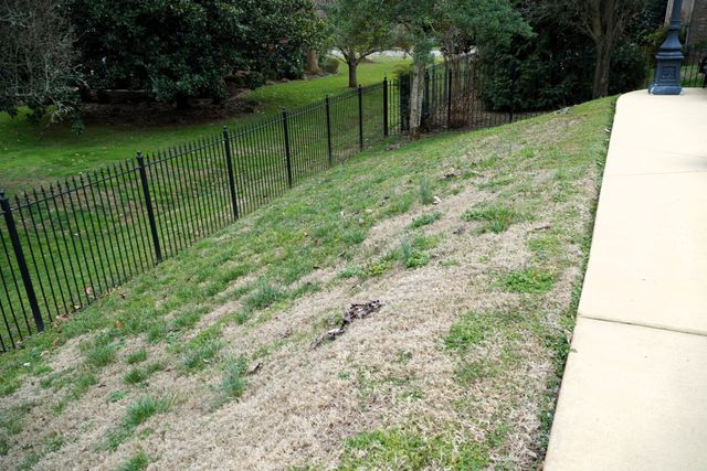 912 Dogwood Dr, Fayetteville, TN 37334