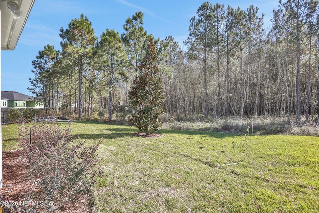 3229 WILLOWLEAF Lane, Green Cove Springs, FL 32043