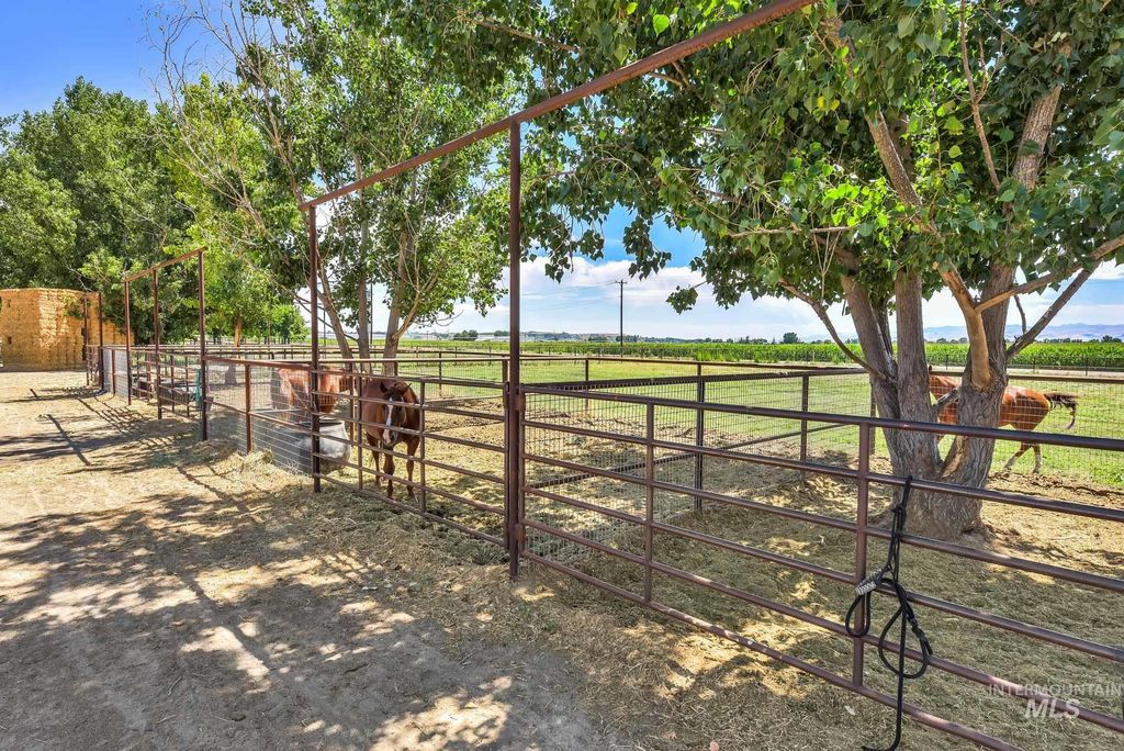 27114 Lower Pleasant Ridge, Wilder, ID 83676 photo 30