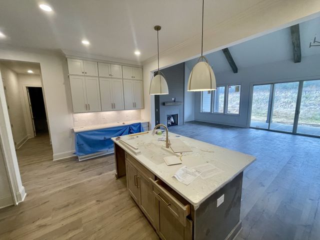 2096 Riley Park Drive, Franklin, TN 37064