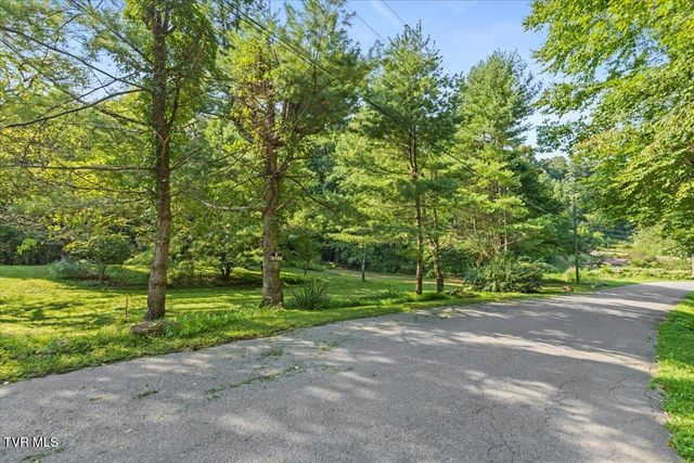 Tbd Whaley Town Road, Butler, TN 37640