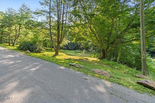 Tbd Whaley Town Road, Butler, TN 37640