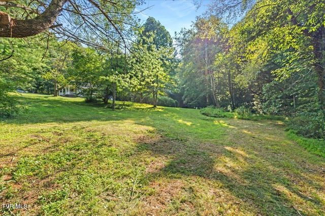 Tbd Whaley Town Road, Butler, TN 37640