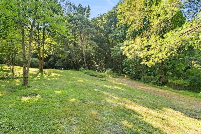 Tbd Whaley Town Road, Butler, TN 37640