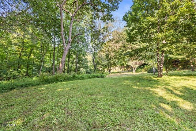 Tbd Whaley Town Road, Butler, TN 37640