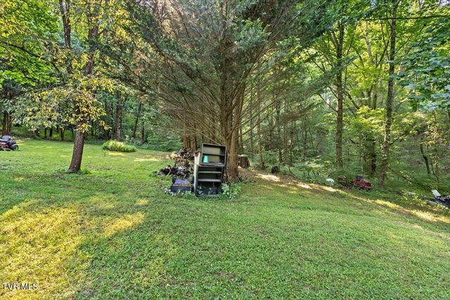 Tbd Whaley Town Road, Butler, TN 37640