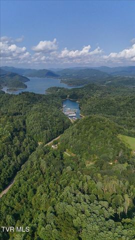 Tbd Whaley Town Road, Butler, TN 37640