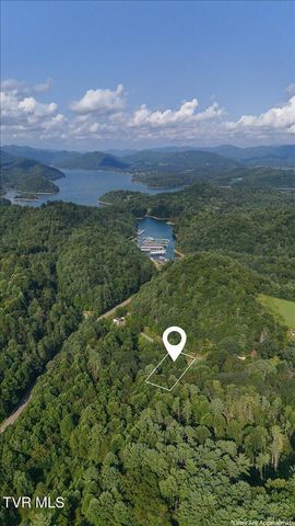 Tbd Whaley Town Road, Butler, TN 37640
