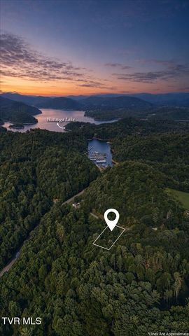 Tbd Whaley Town Road, Butler, TN 37640