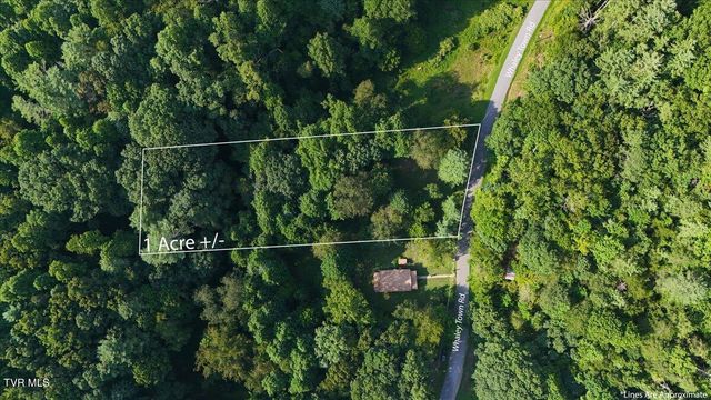 Tbd Whaley Town Road, Butler, TN 37640