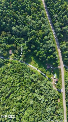Tbd Whaley Town Road, Butler, TN 37640
