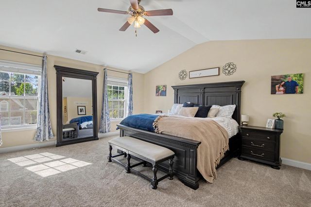 137 Palm Street, Chapin, SC 29036