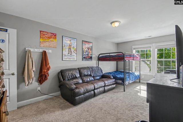 137 Palm Street, Chapin, SC 29036