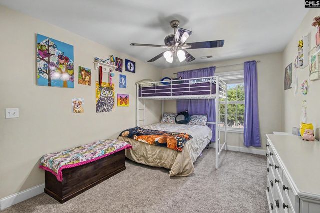 137 Palm Street, Chapin, SC 29036