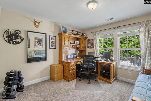 137 Palm Street, Chapin, SC 29036