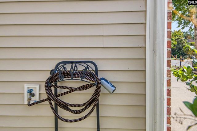 137 Palm Street, Chapin, SC 29036