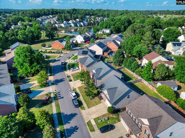 137 Palm Street, Chapin, SC 29036