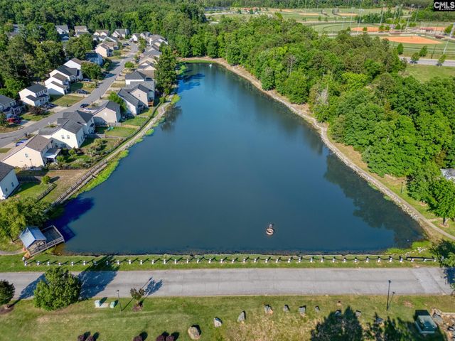 137 Palm Street, Chapin, SC 29036