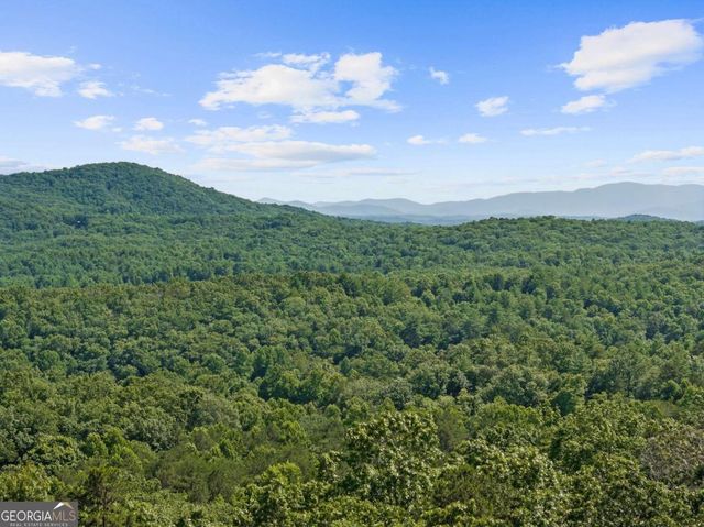 25 Boundless Trail, Morganton, GA 30560