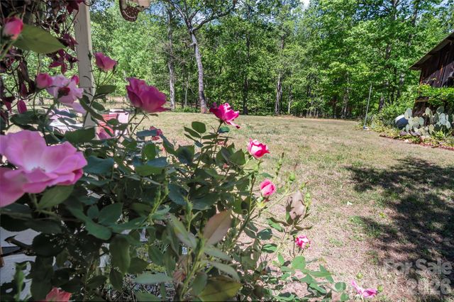 283 Constant Lane, Columbus, NC 28722