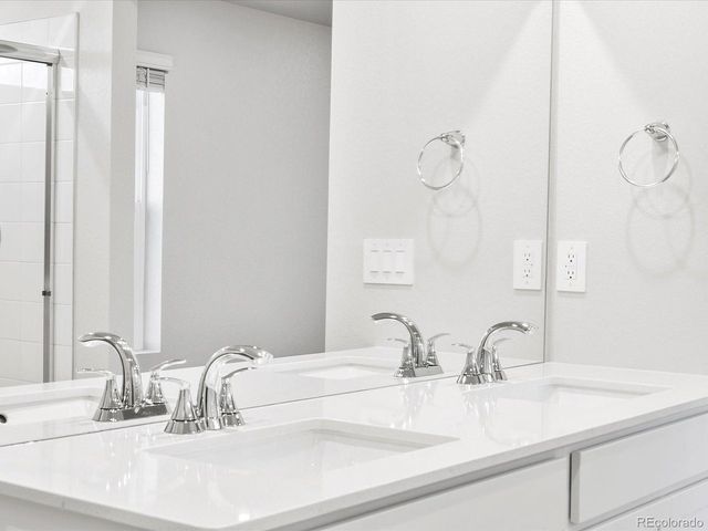 1691 Yampa River Dr, Windsor, CO 80550