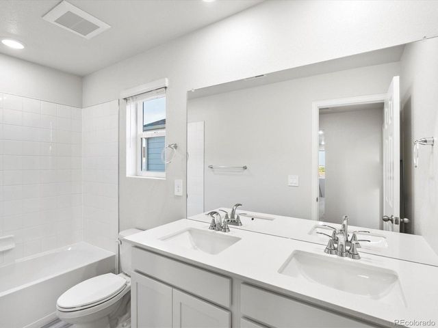 1691 Yampa River Dr, Windsor, CO 80550