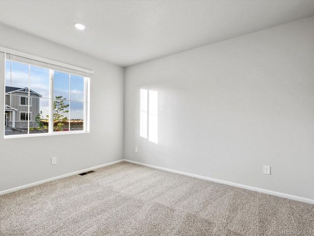 1691 Yampa River Dr, Windsor, CO 80550