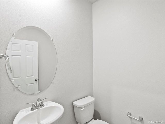 1691 Yampa River Dr, Windsor, CO 80550