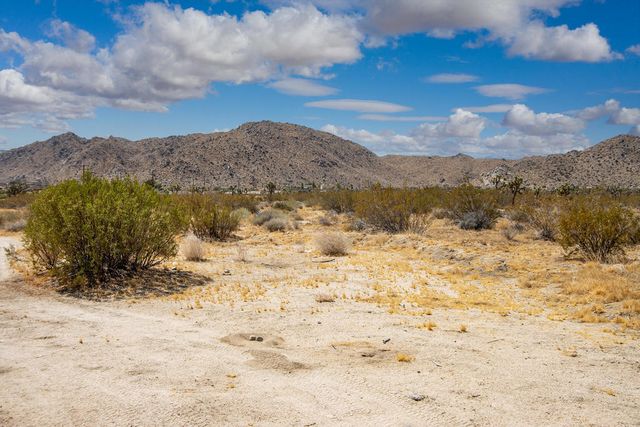 7382 Olympic Road, Joshua Tree, CA 92252