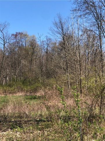 lots 4,7,8 W. Washington St., Union Twp, PA 16101