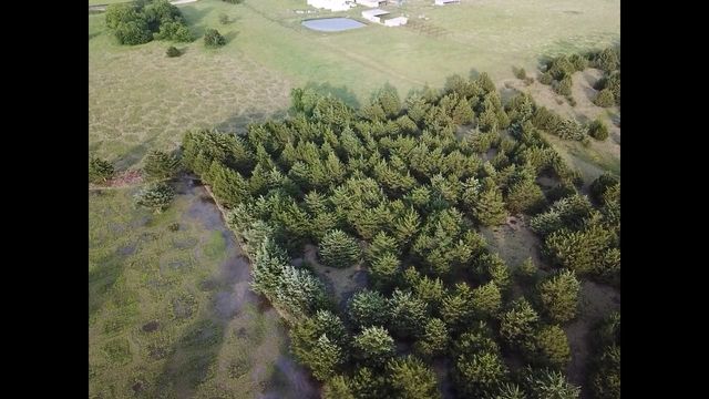 1148 Orion Way, Wilmer, TX 75172